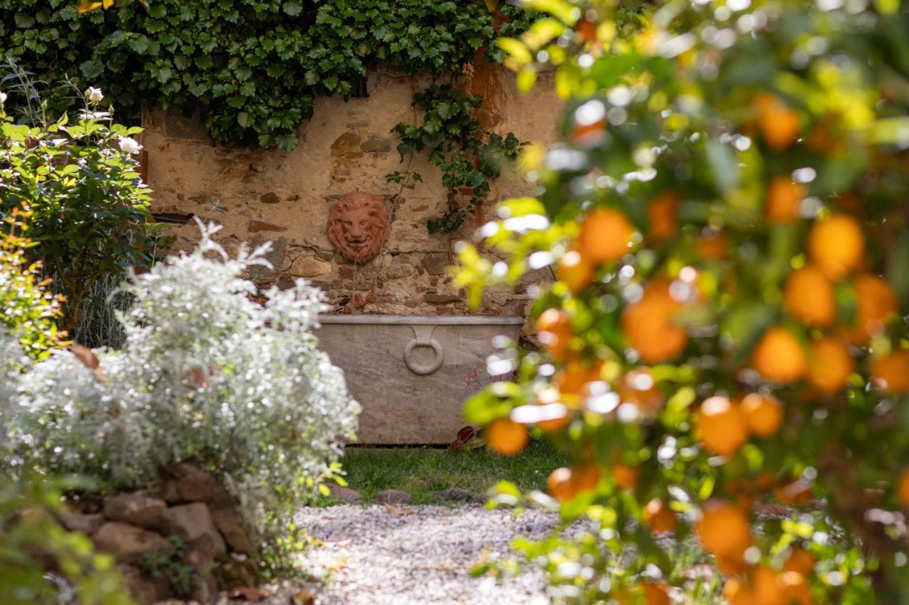 Bed and Breakfast Secret Garden Firenze Exterior foto