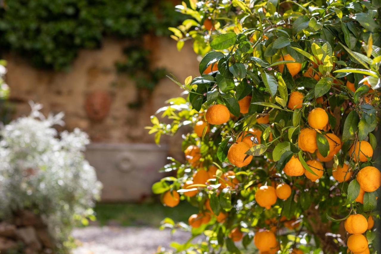 Bed and Breakfast Secret Garden Firenze Exterior foto
