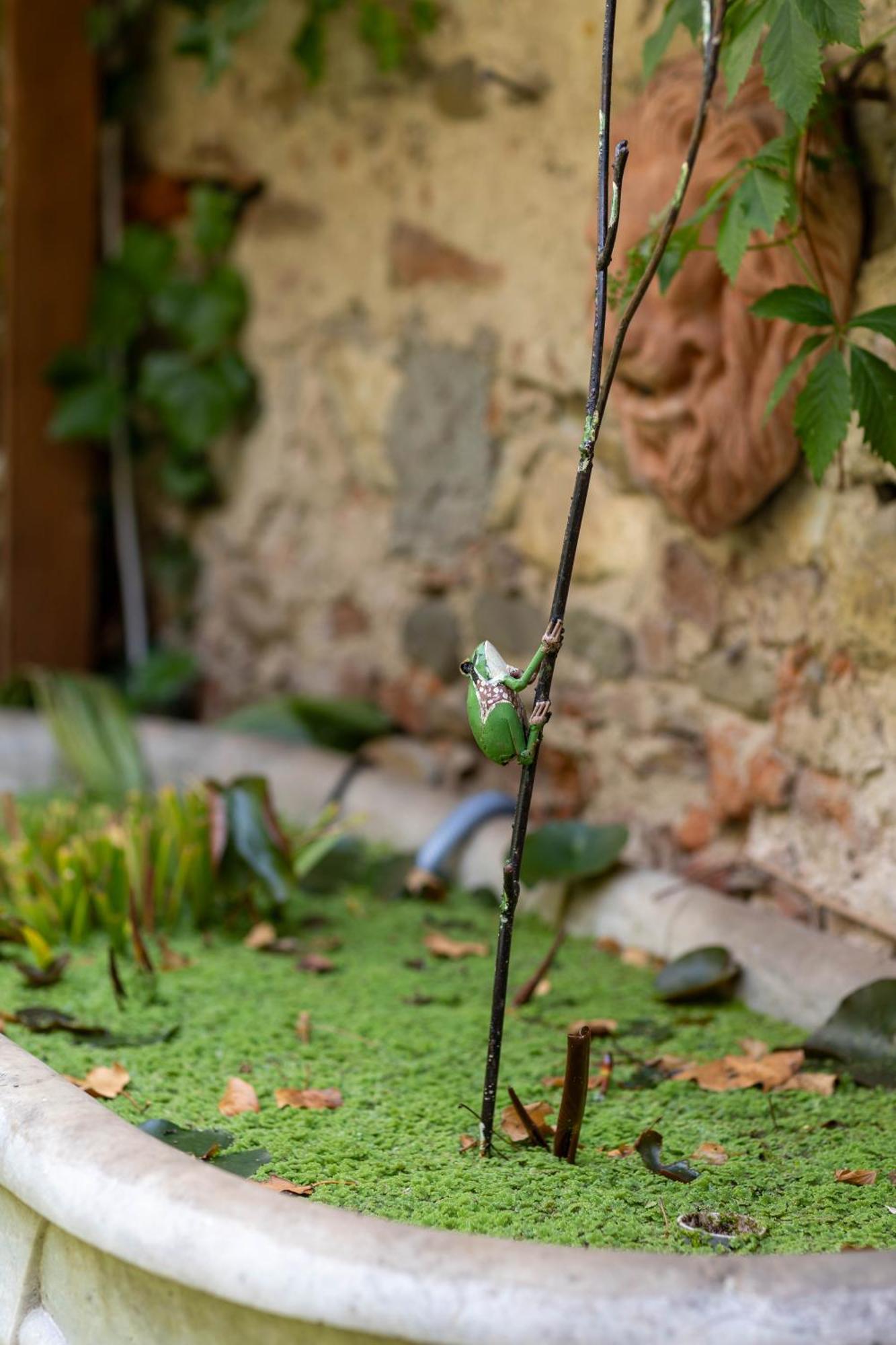 Bed and Breakfast Secret Garden Firenze Exterior foto
