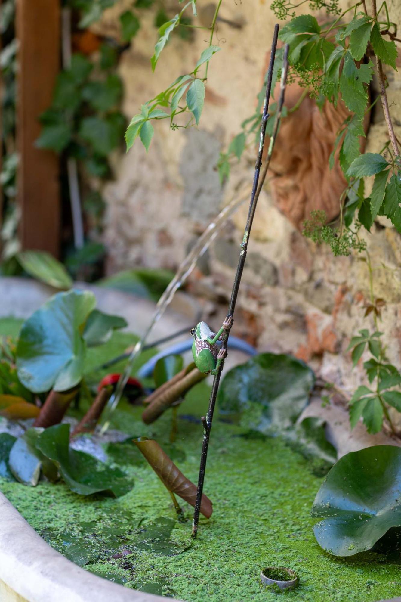 Bed and Breakfast Secret Garden Firenze Exterior foto